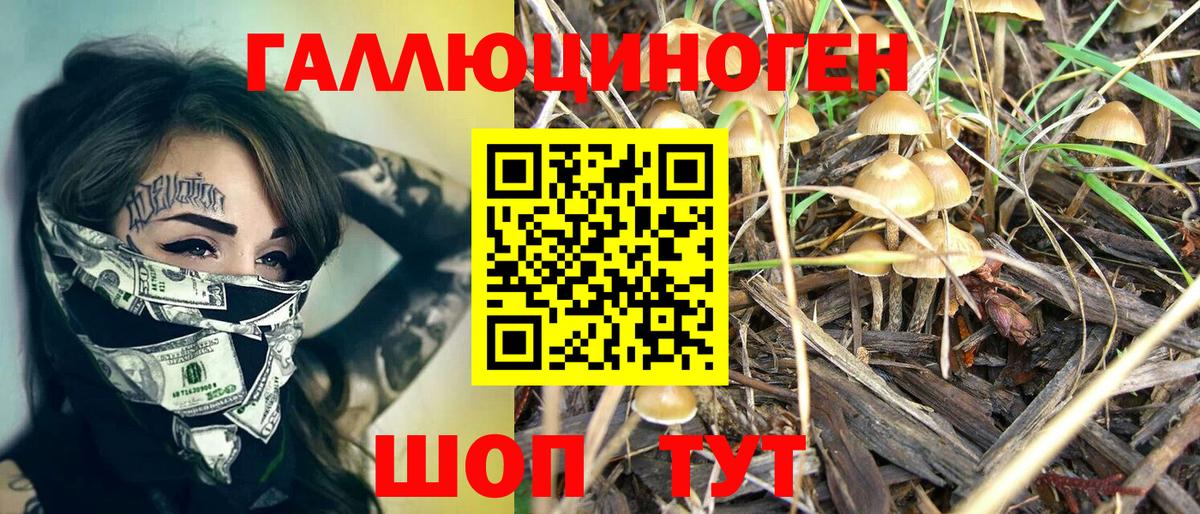 Псилоцибиновые грибы Magic Shrooms  Вход с VPN  Южно-Сахалинск  Псилоцибиновые грибы ЛСД 