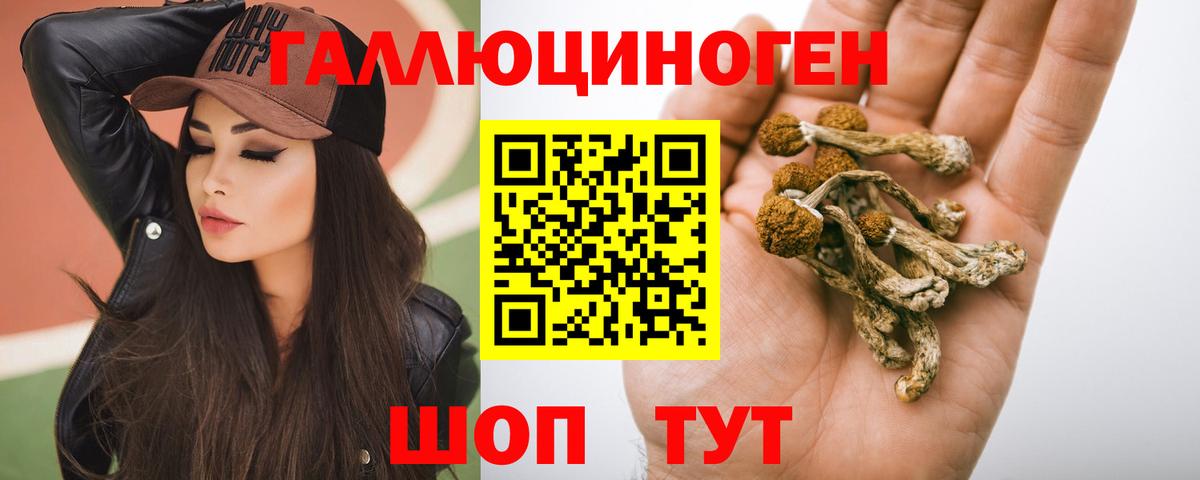 Псилоцибиновые грибы мухоморы Южно-Сахалинск